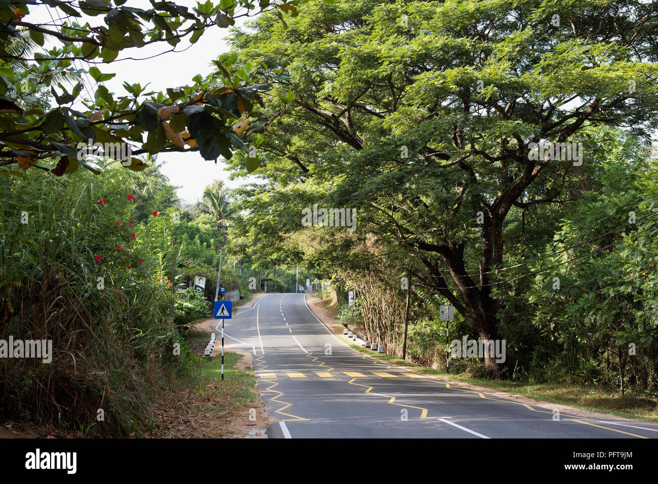 Sri Lanka, Uva Province, empty road Stock Photo