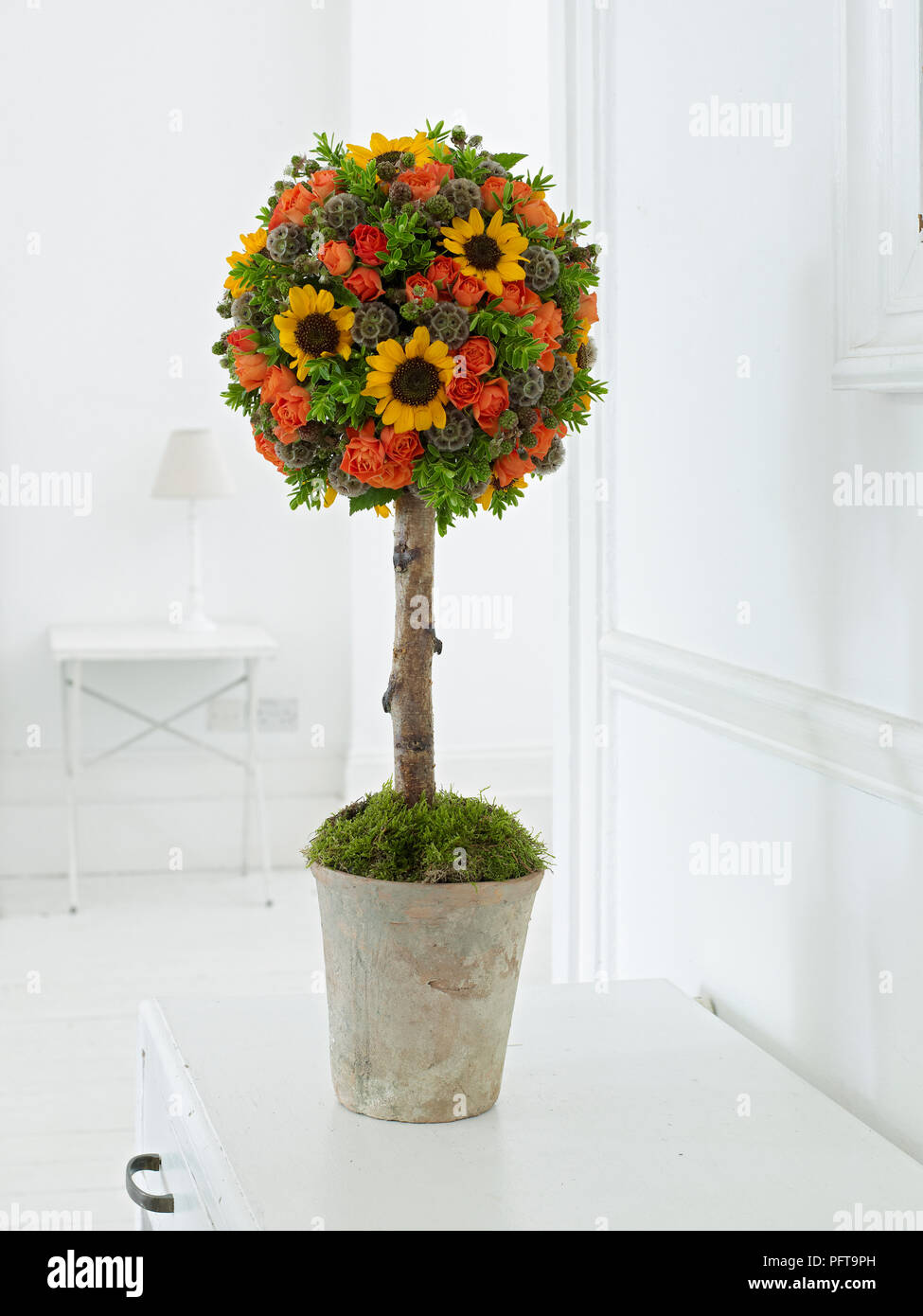 Topiary tree, using scabious, hebe, moss, spray roses, sunflowers Stock Photo