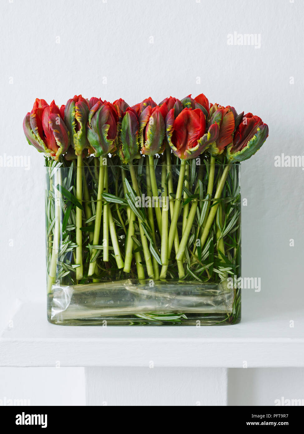 Tulips in rosemary flower arrangement Stock Photo