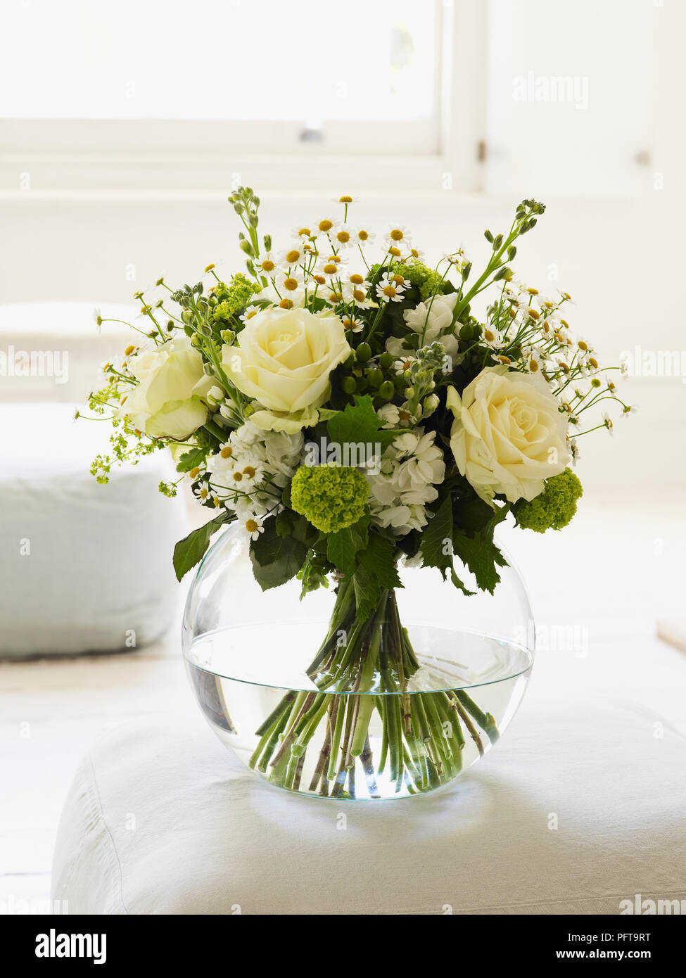 White and green hand tie bouquet, camomile, alchemilla mollis, guelder rose, white rose, hypericum, stock Stock Photo