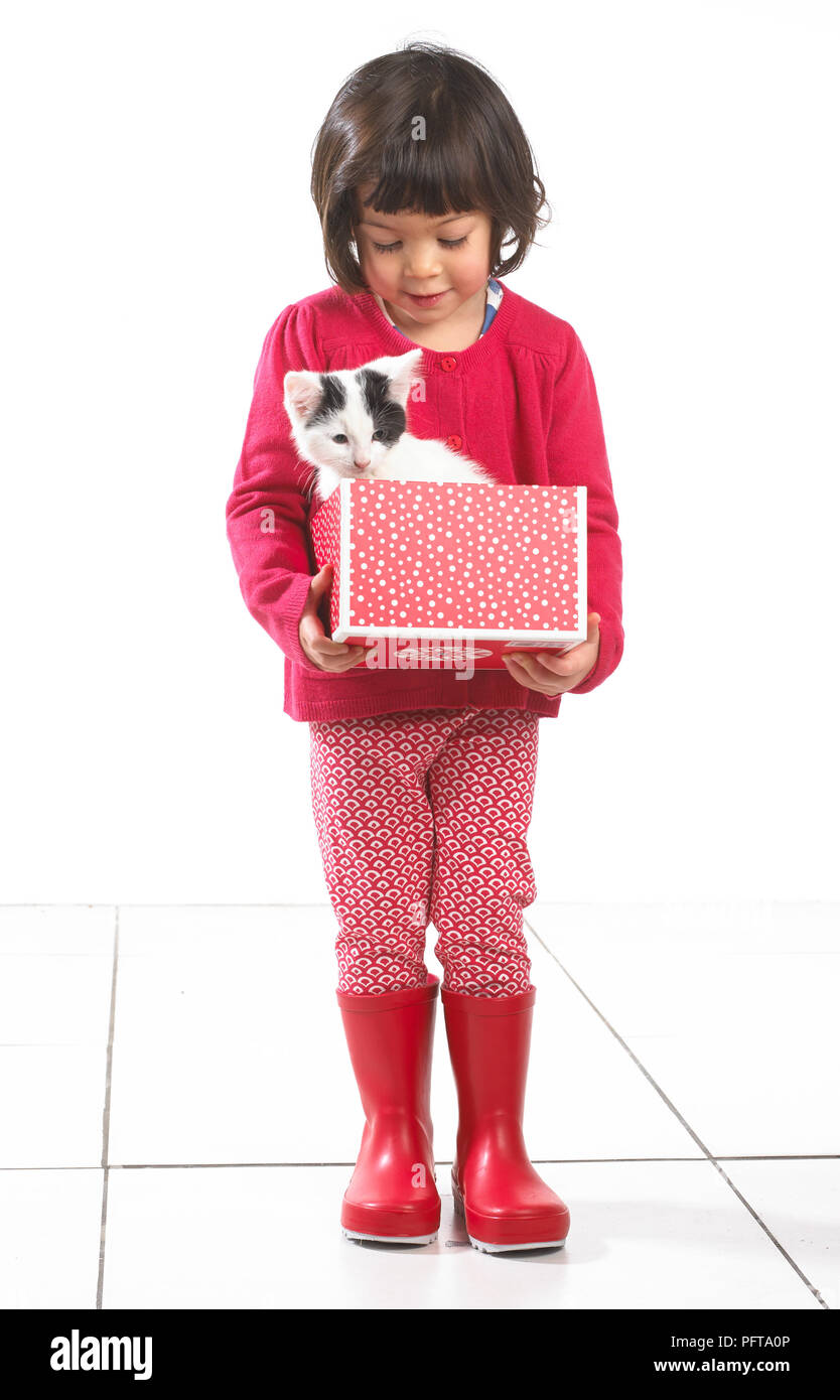 Young girl holding box containing one kitten, 2 years Stock Photo