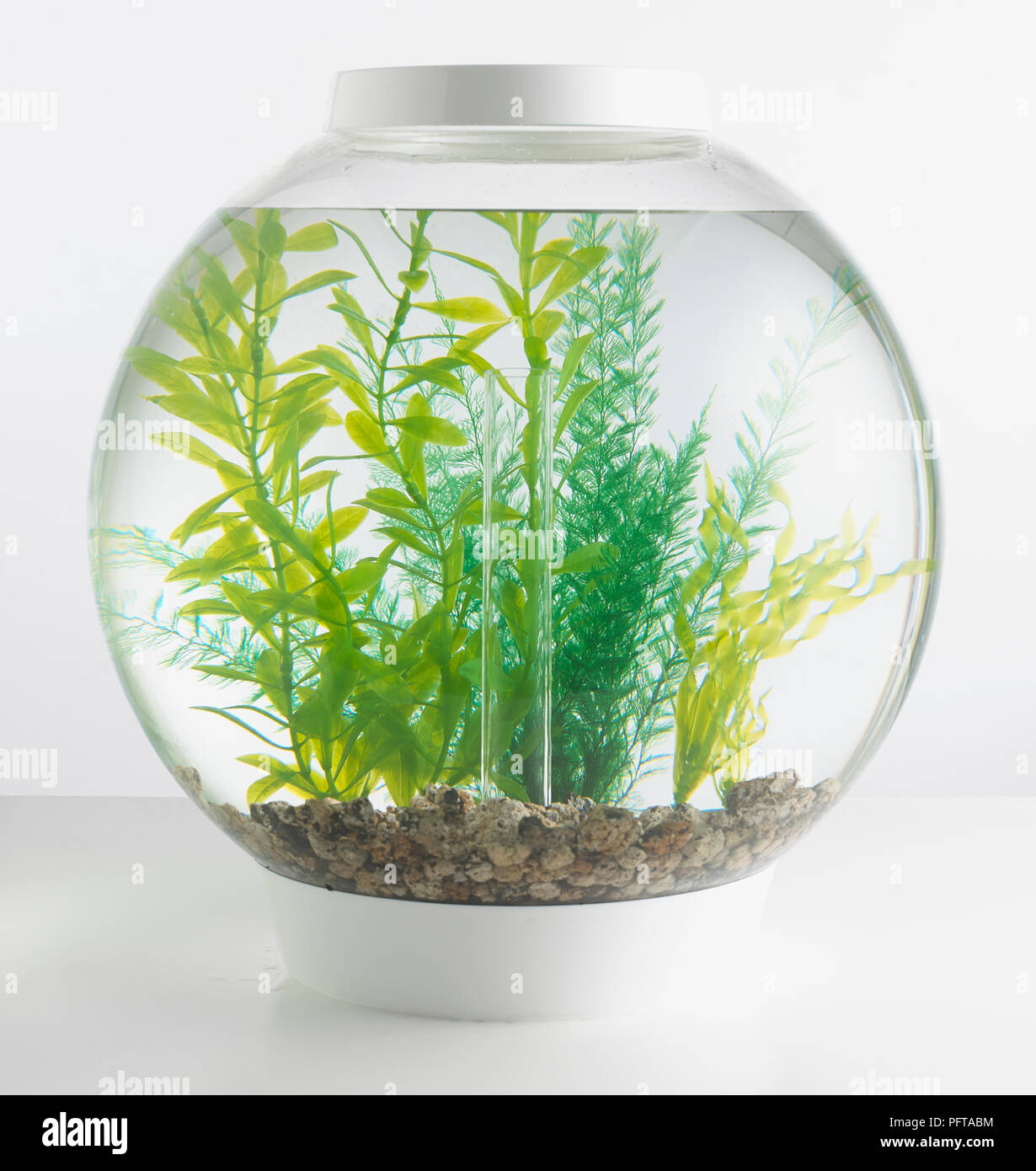 Goldfish bowl containing artificial plants Stock Photo