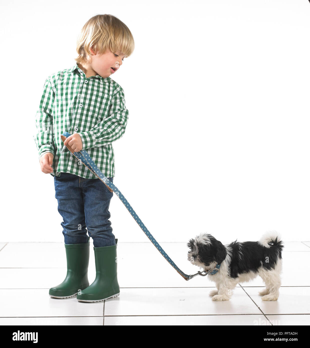 Young boy holding a puppy by a lead, 2 years Stock Photo