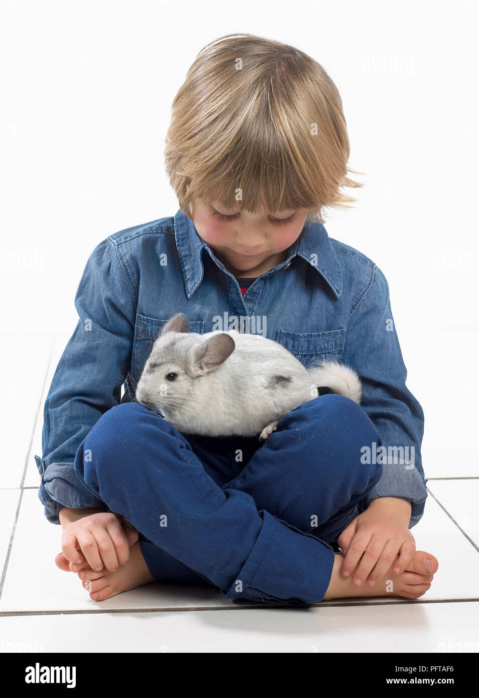 Boy sitting with a chinchilla on his lap, 3 years Stock Photo