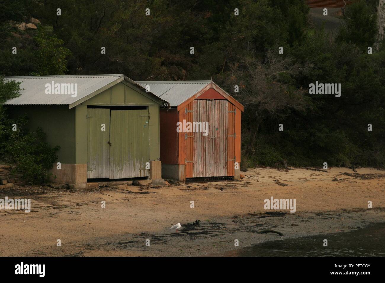 Colourful, rustic boat sheds on sand beside water with seagull in foreground: Tasmania, Australia Stock Photo