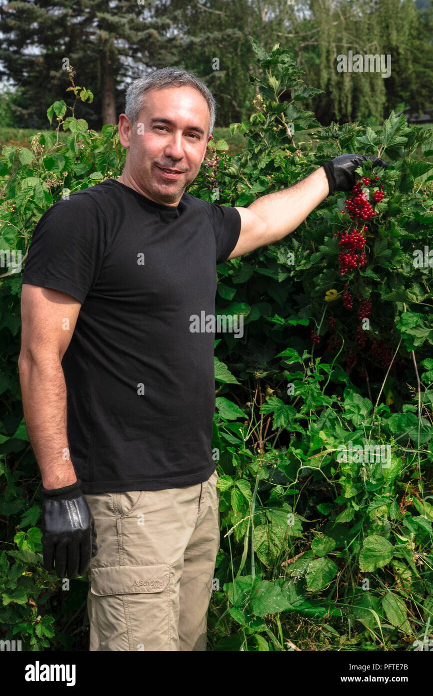 Attractive man smiles and holds red currants Stock Photo