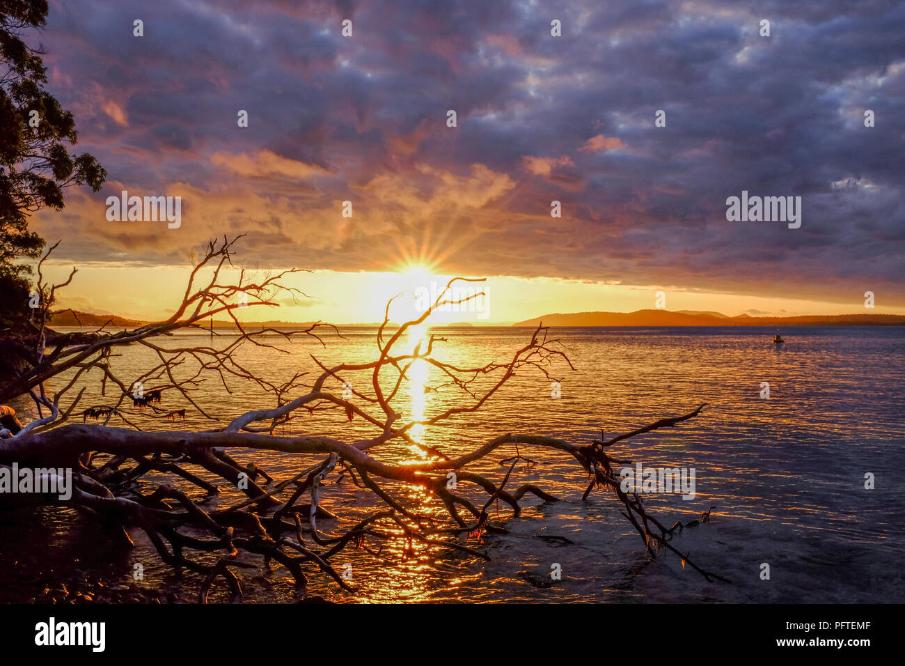 Sun setting through colourful sky over ocean with silhouette of fallen tree Stock Photo