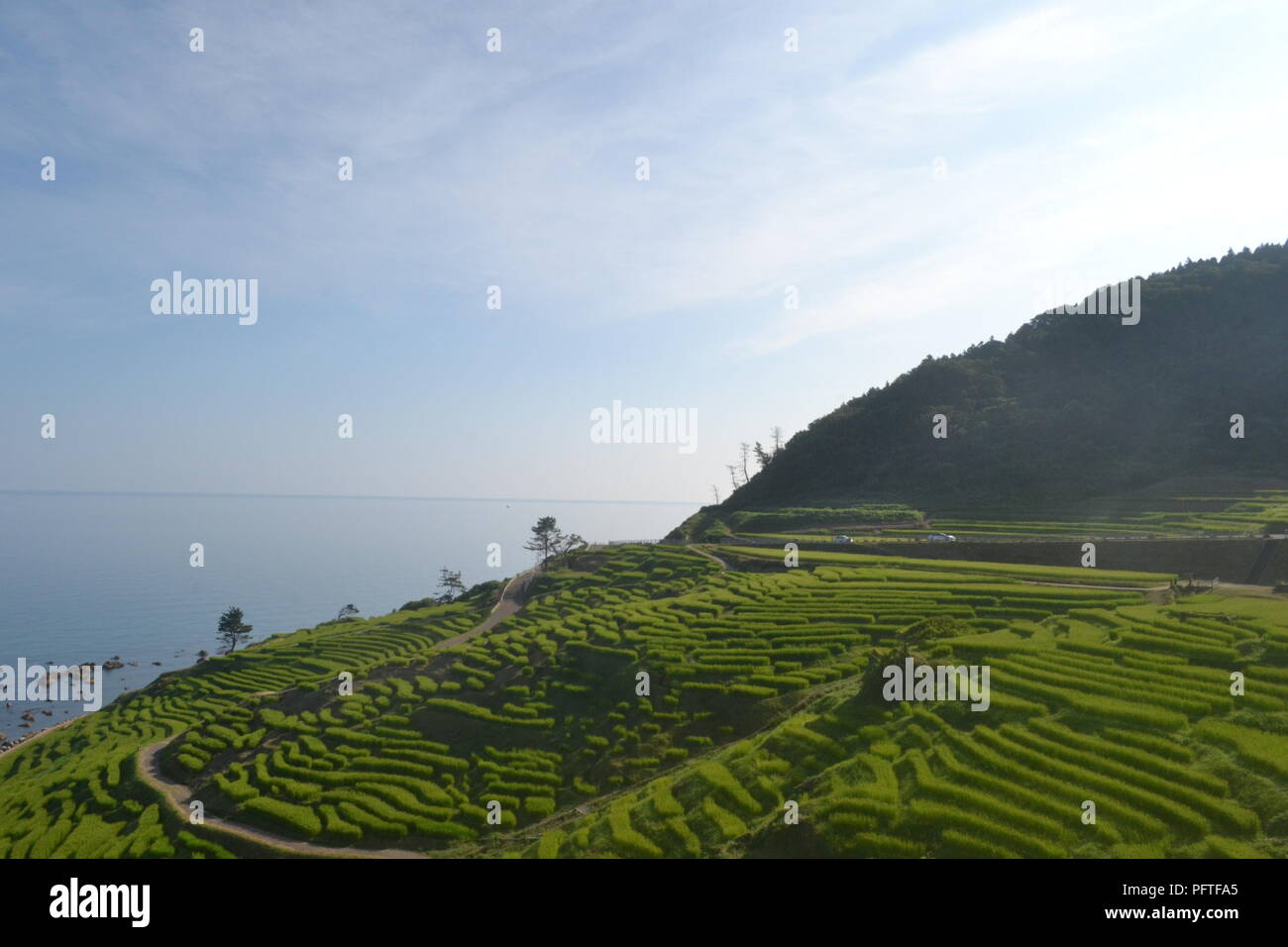 Senmaida rice terraces in Japan Stock Photo