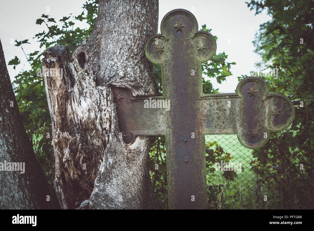 Old forgotten cemetary, crosses rooted into trees Stock Photo