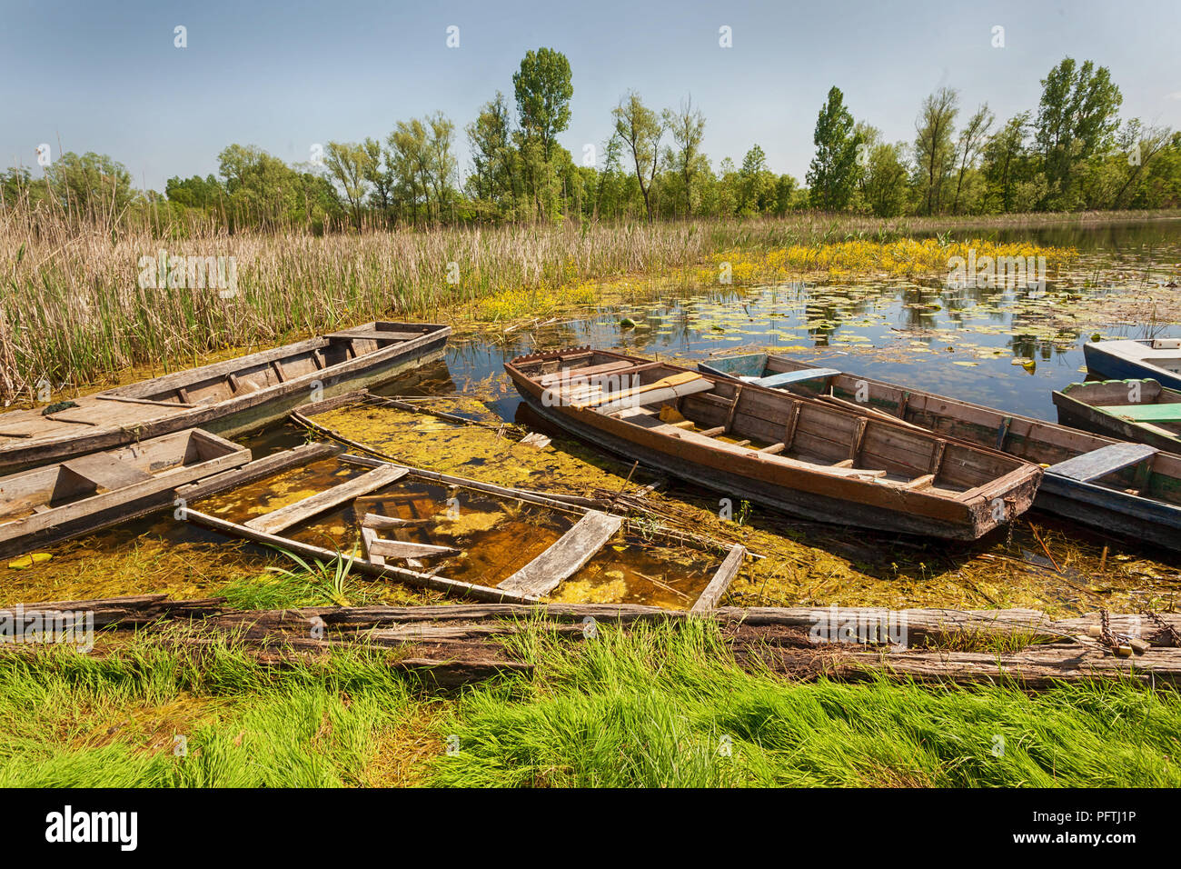 Abandoned boats in the swamp Stock Photo