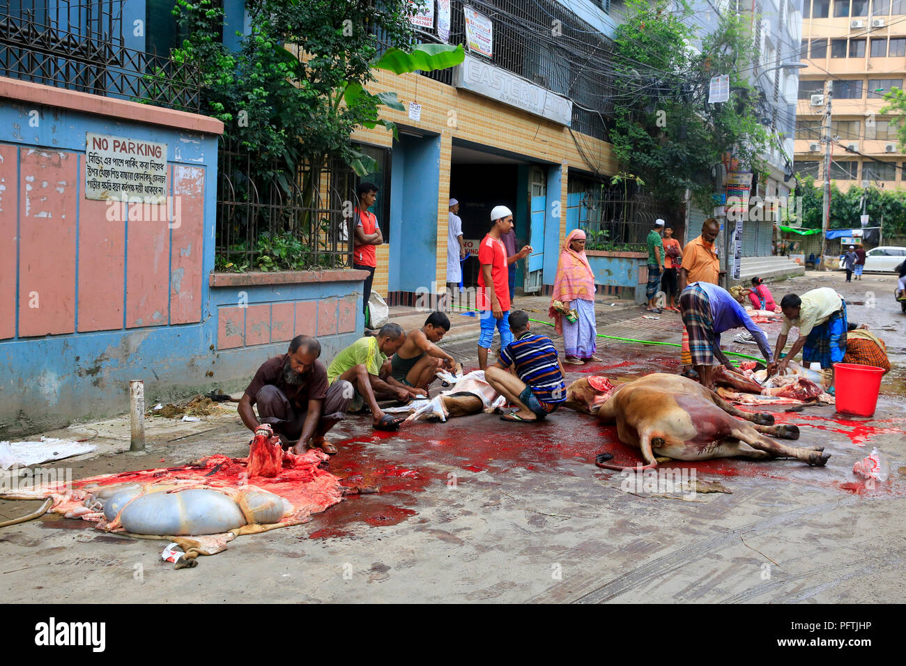 Bangladeshi Muslims slaughter their livestock on the road in Dhaka, the capital city of Bangladesh, on the first day of Eid- Ul-Azha. Dhaka, Banglades Stock Photo