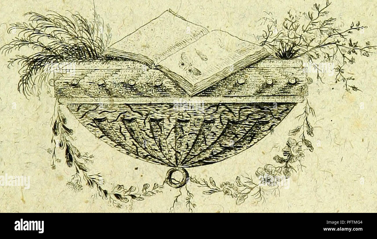 . Beitra?ge zur Geschichte der Schmetterlinge. Lepidoptera; Lepidoptera. BEITRÄGE ZUR GESCHICHTE DER SCHMETTERLINGE. VON JACOB HÜBNER,. AUGSBURG i 7 8 6. - 8 9. Zu ßjjtten bei 4em Verfaffer,. Please note that these images are extracted from scanned page images that may have been digitally enhanced for readability - coloration and appearance of these illustrations may not perfectly resemble the original work.. Hu?bner, Jacob, 1761-1826. Augsburg, der Verfasser Stock Photo