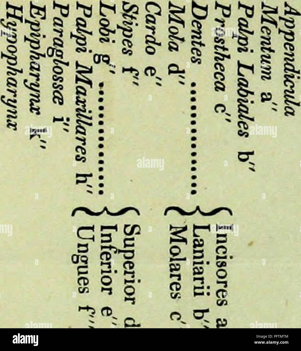 An Introduction To Entomology Or Elements Of The Natural History Of Insects With Plates Insects H A Z B O En H W A 23 A A 2 S G A 8