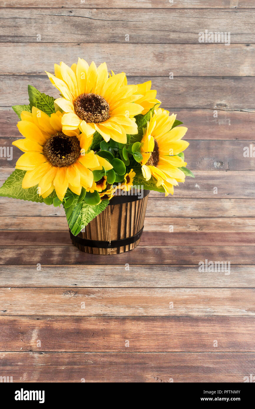 Rustic dark brown wooden flowerpot filled with sunflowers on brown wood background with lots of copy space. Stock Photo