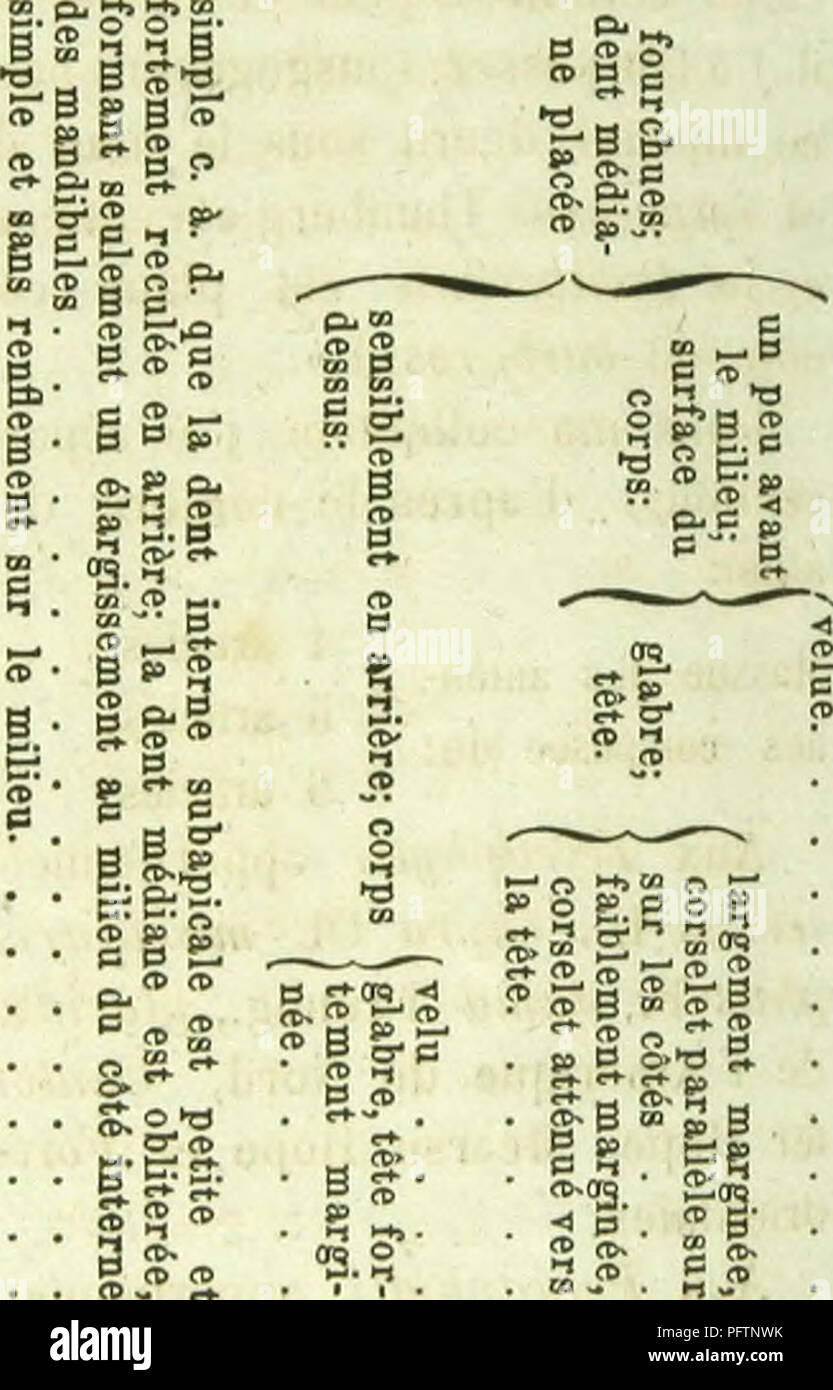 . E?nume?ration des nouvelles espe?ces de cole?opte?res rapporte?s de ses voyages. Beetles. Pour faciliter table analytique: 82*13 26 la distinction de ces espèces voici une ta Eî s EL 9 S- B&amp;8. llî *5»S S.»63 — » s e § b g gw s'a S, a o si. m 2. £ S S 9 i II B S. 2. o. Please note that these images are extracted from scanned page images that may have been digitally enhanced for readability - coloration and appearance of these illustrations may not perfectly resemble the original work.. Mochul?skii?, Viktor Ivanovich, -1871. Moscou, Imprimerie de l'Universite? Impe?riale Stock Photo