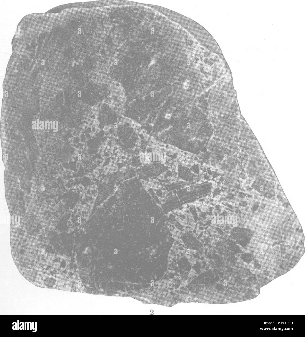 . A treatise on rocks, rock-weathering and soils;. Petrology; Soils. Fig. 1. Chert breccia cemented by zinc blende. Fig. 2. Felsite breccia formed of felsitic fragments embedded in a matrix of the same composition.. Please note that these images are extracted from scanned page images that may have been digitally enhanced for readability - coloration and appearance of these illustrations may not perfectly resemble the original work.. Merrill, George P[erkins] 1854-. New York, London, The Macmillan company Stock Photo