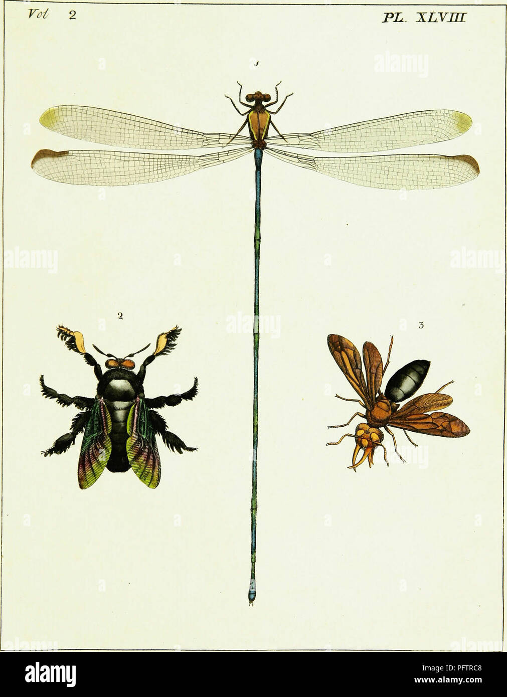 Illustrations Of Natural History Wherein Are Exhibited