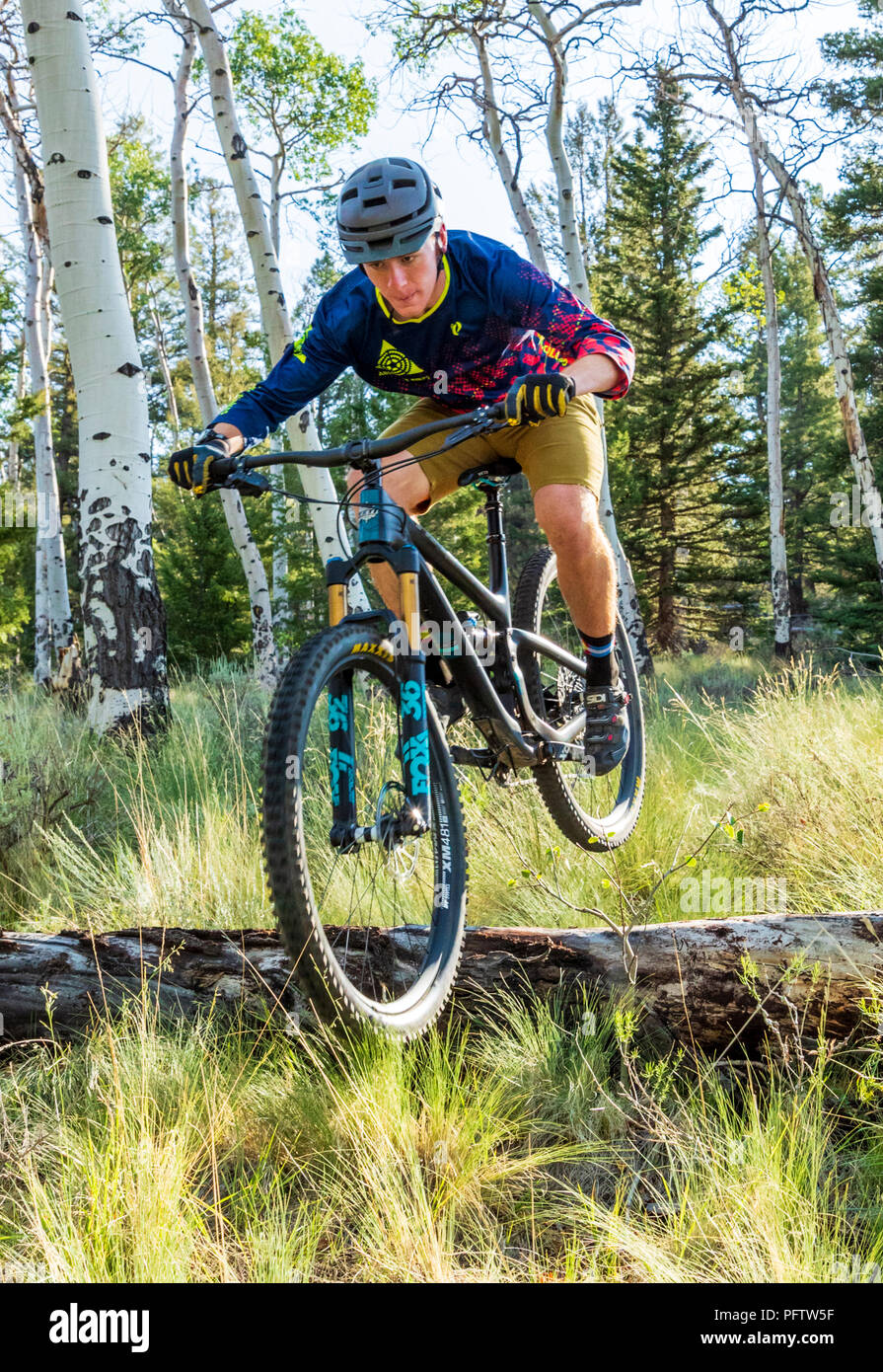 Teenage boy mountain biking through Aspen tree meadow Poncha Pass