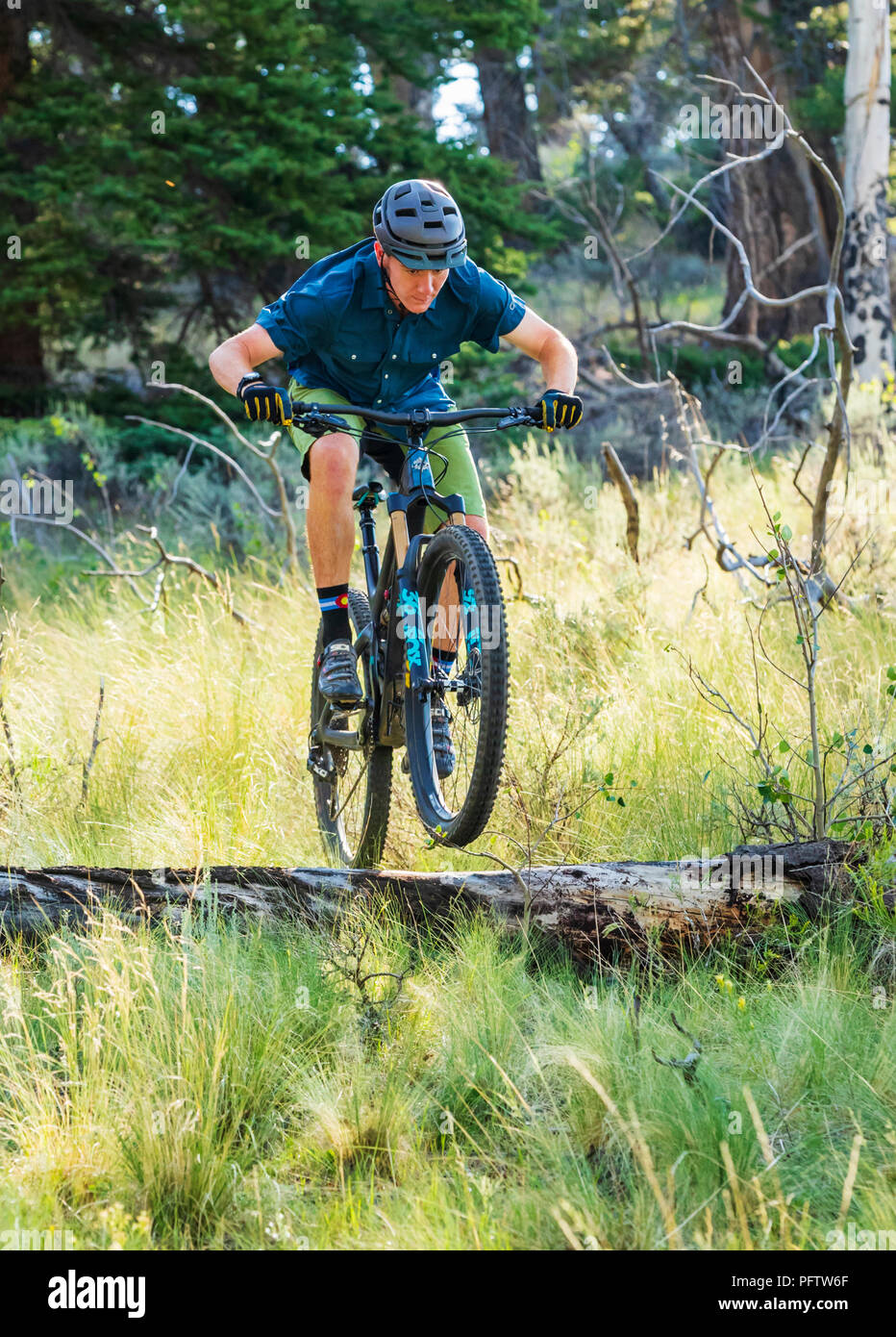 boy mountain bike