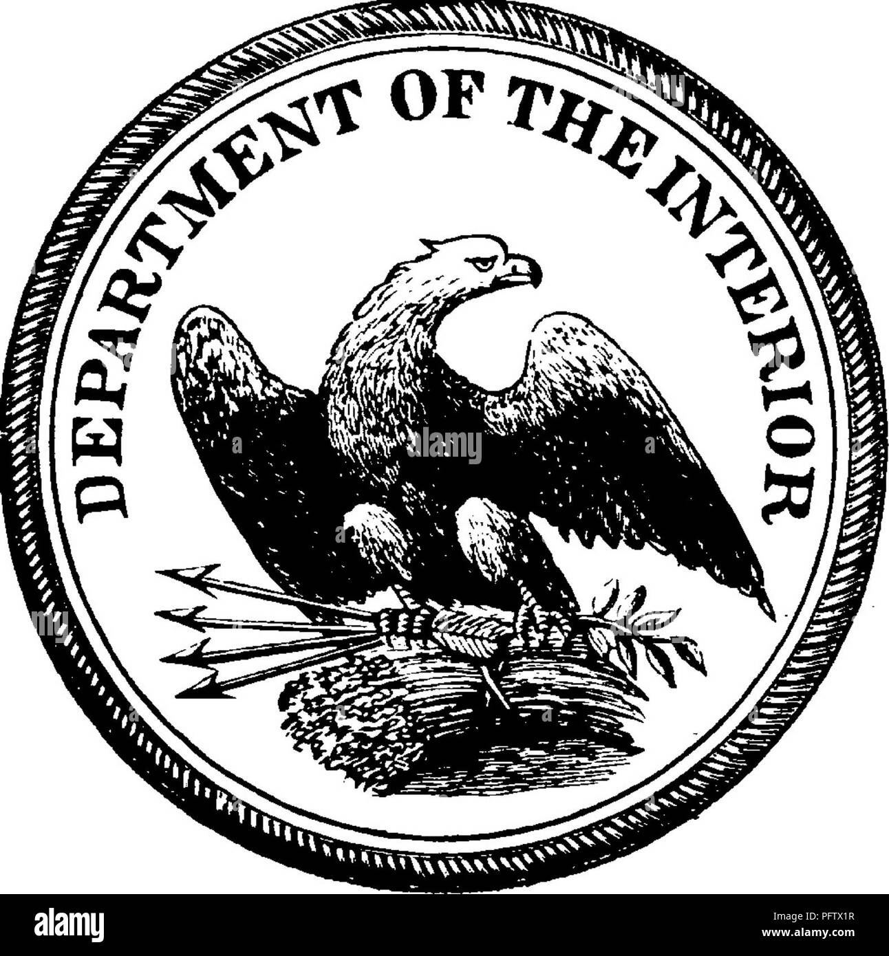 Gasteropoda And Cephalopoda Of The Raritan Clays And Greensand