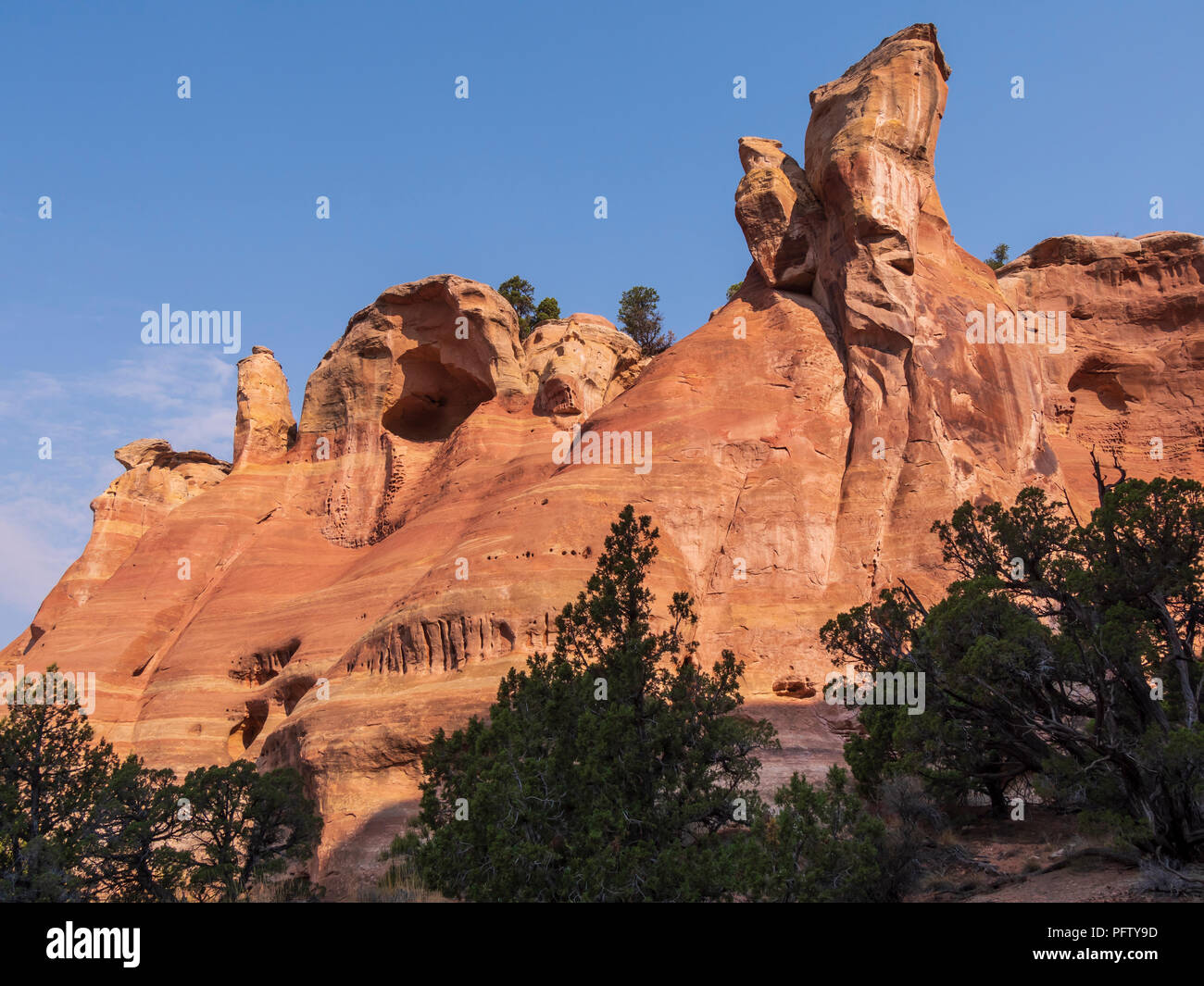Walls of Rattlesnake Canyon, Black Ridge Wilderness Area, McInnis Canyons National Conservation Area, Grand Junction, Colorado. Stock Photo
