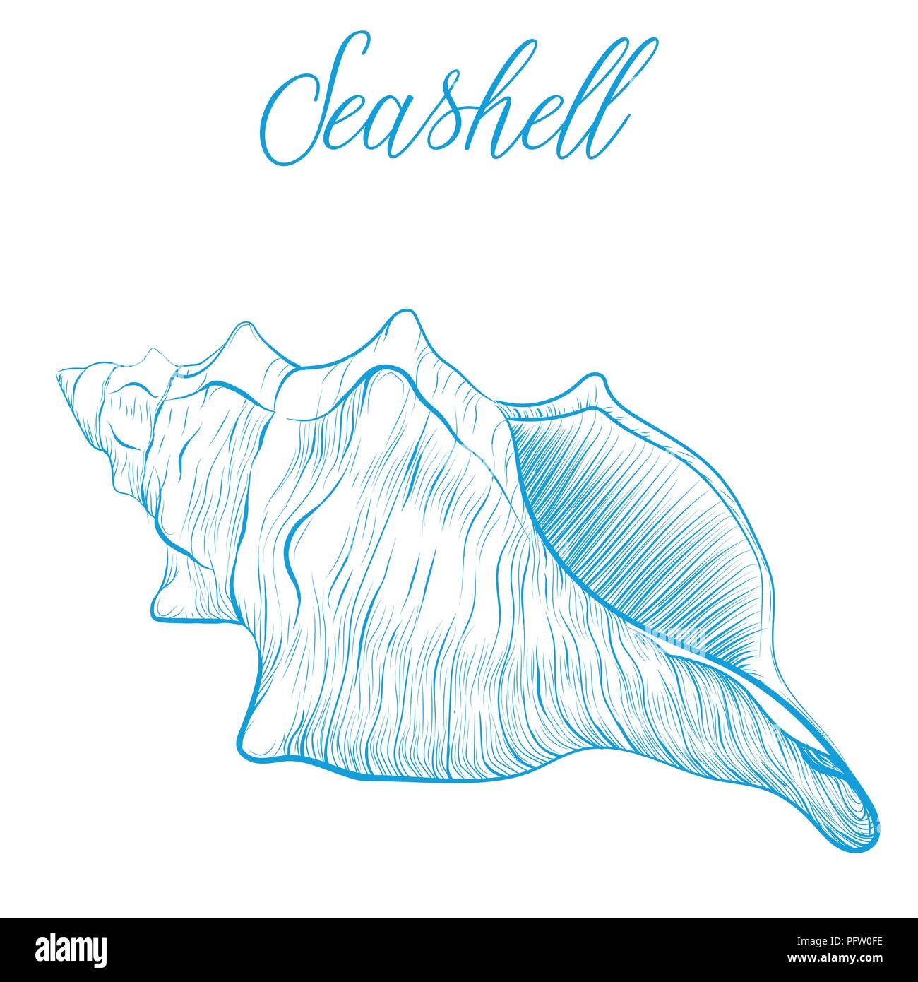 Sea shell Hand drawn blue linear vector illustration.Marine wildlife decorative designer graphic art element isolated. Perfect for invitations, greeti Stock Vector