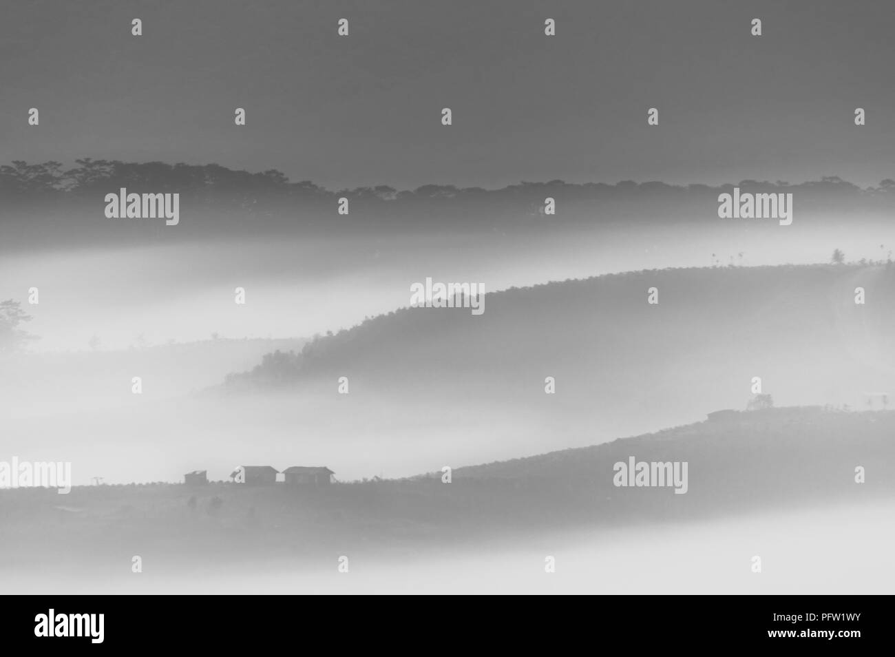 greats sky and clouds of the landscape with fog at dawn, sunrise, sunset. pine forest in the mist with sunrays, sunshine Stock Photo