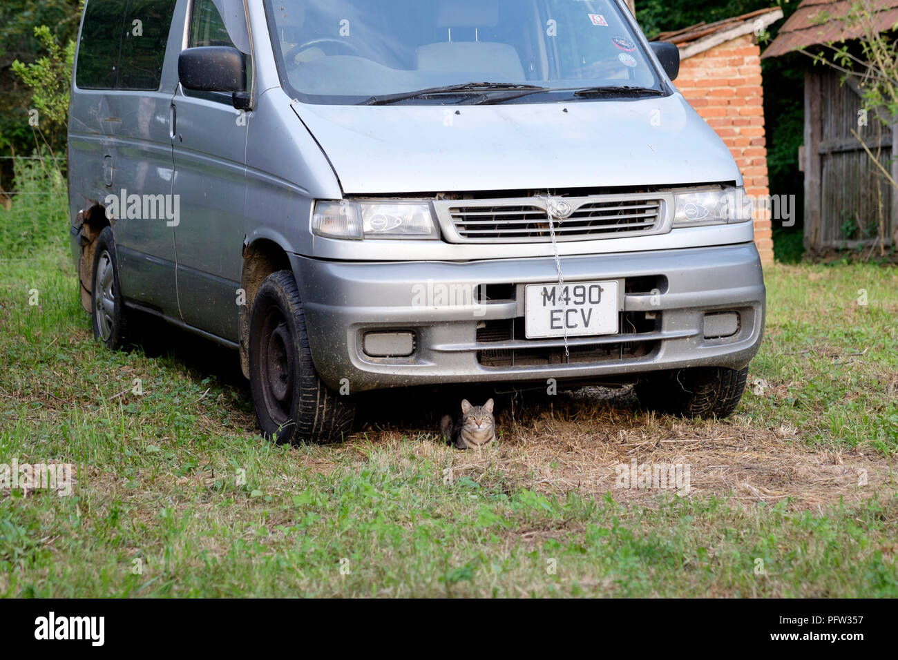 cat shelters from the sun in the shade beneath an old van parked in a garden in zala county hungary Stock Photo
