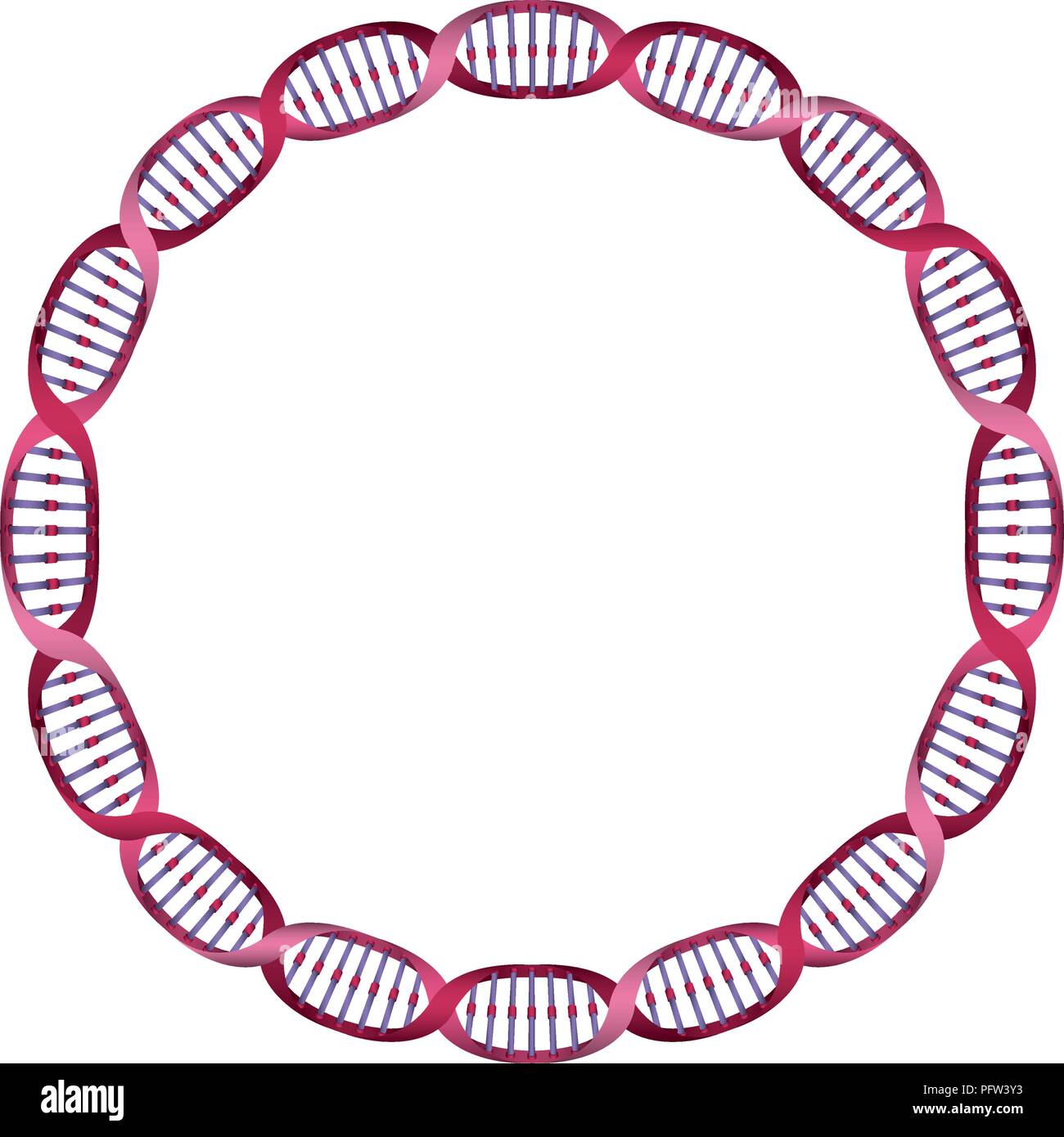 Circular Dna Molecule Stock Photos & Circular Dna Molecule Stock Images ... Biology Diagrams