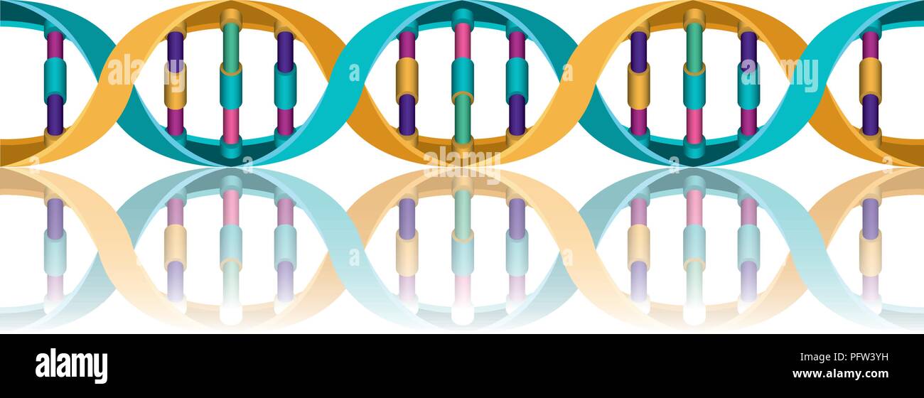 horizontal dna chain science colorful icon Stock Vector