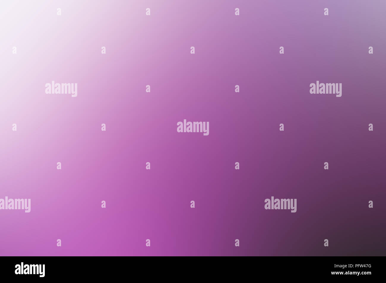 light background white and purple gradient blurred and bright, colorful, festive Stock Photo
