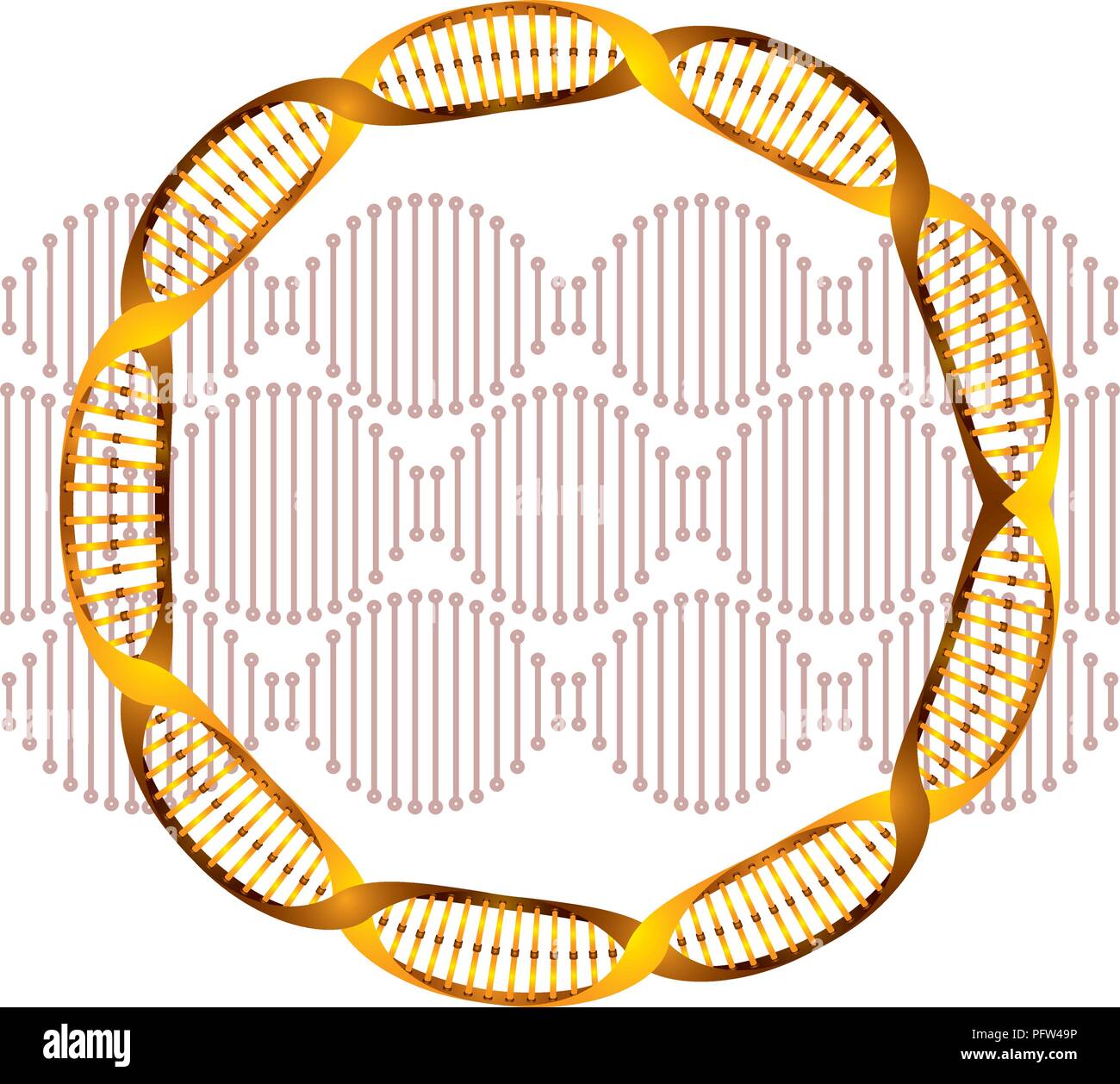 Circular Dna Molecule High Resolution Stock Photography and Images Biology Diagrams