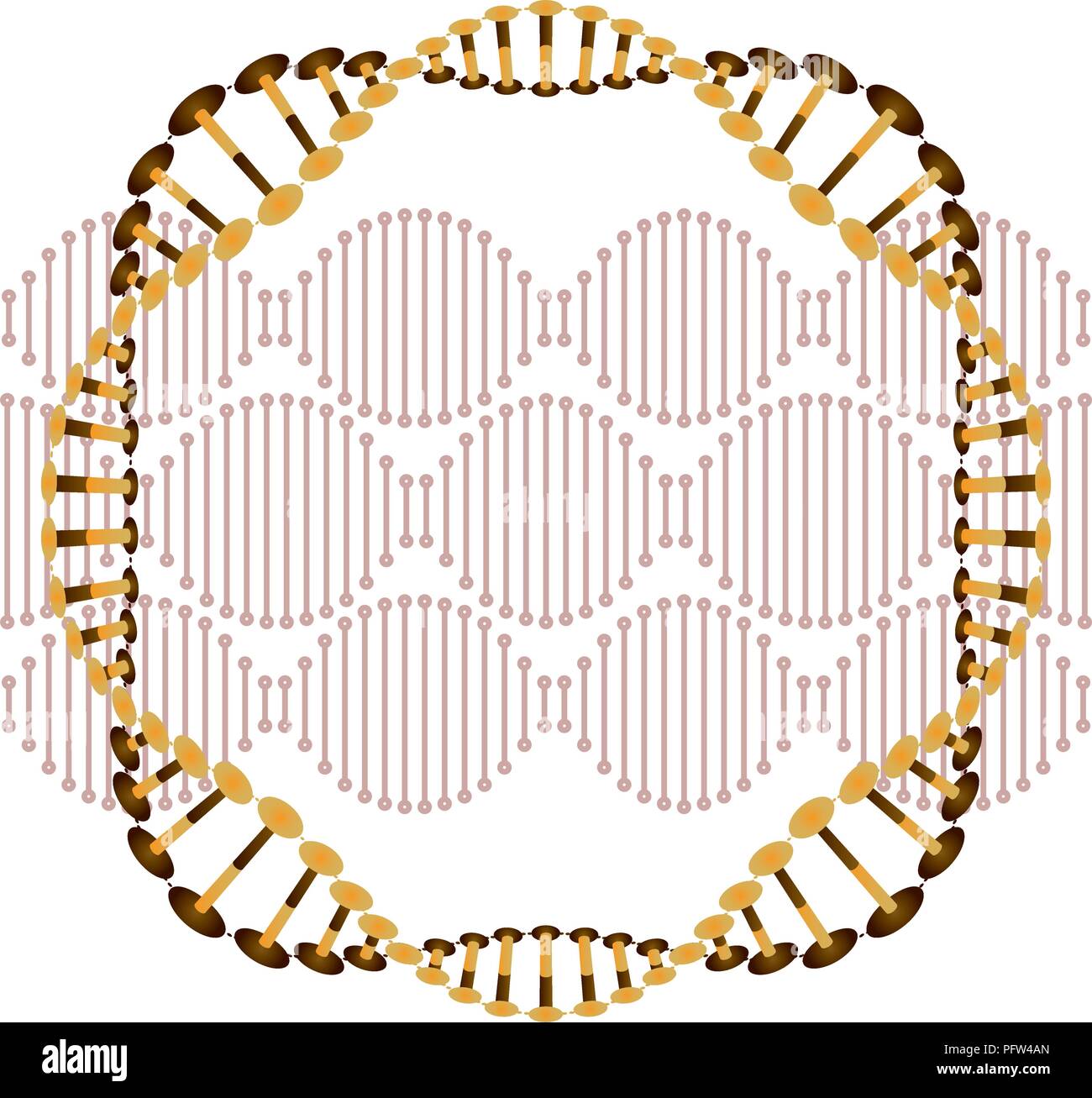 Circular Dna Molecule High Resolution Stock Photography and Images Biology Diagrams
