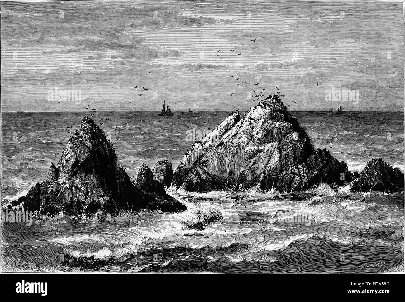 Black and a white vintage print depicting birds perched on, and flying over Seal Rocks, a stand of marine rocks, located near the Cliff House in San Francisco, California, published in William Cullen Bryant's edited volume 'Picturesque America; or, The Land We Live In', 1872. Courtesy Internet Archive. () Stock Photo