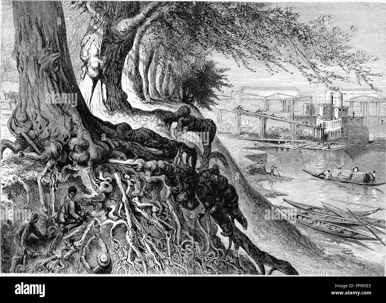 Black and a white vintage print depicting people sitting in and climbing on the roots of a great tree on a riverbank in the foreground, with paddleboats or kayaks, and a large steam-powered riverboat being loaded in the background, located on the Savannah River near Augusta, Georgia, and published in William Cullen Bryant's edited volume 'Picturesque America; or, The Land We Live In', 1872. Courtesy Internet Archive. () Stock Photo