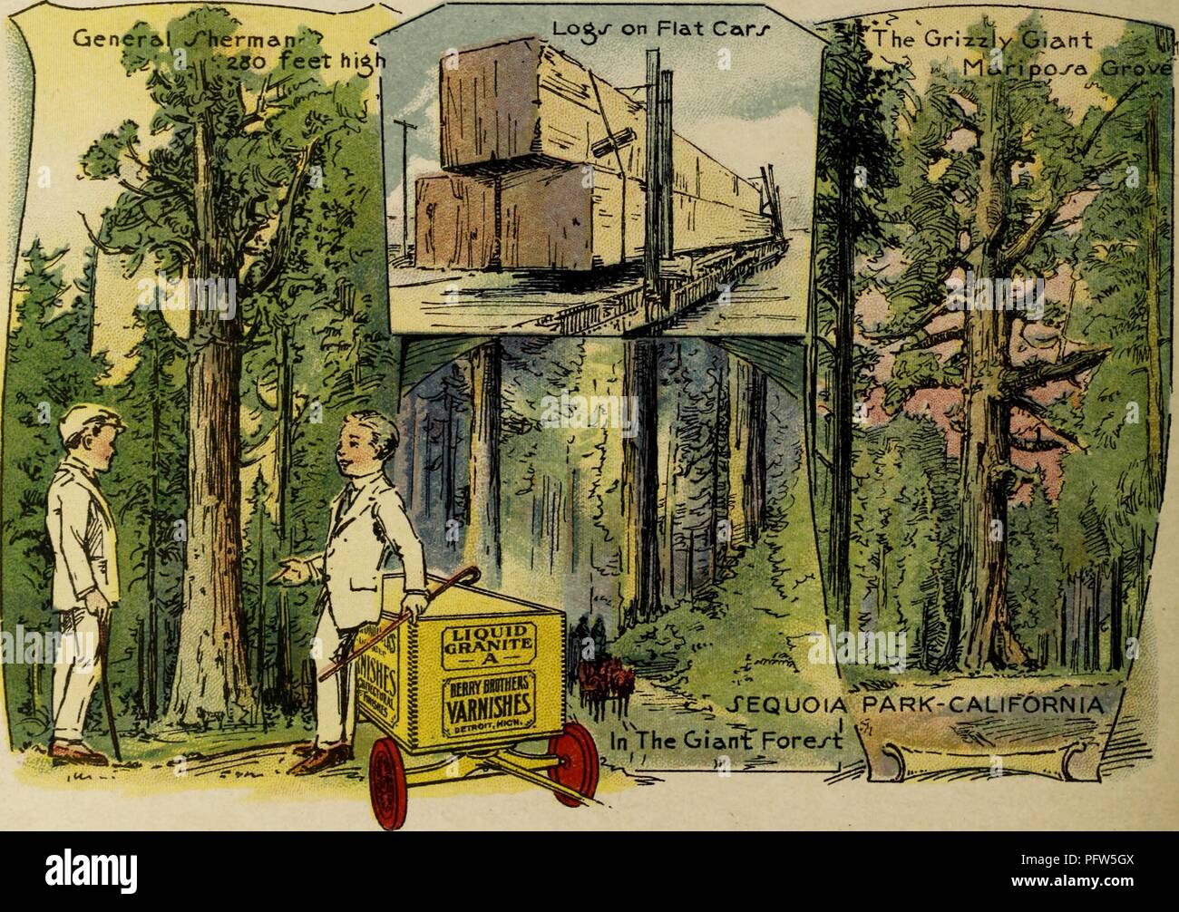 Color illustration depicting several images of California's Sequoia Park, including 'General Sherman, ' 'The Grizzly Giant, ' the 'Mariposa Grove, ' and felled 'Logs on Flat Cars' being carted away, along with the eponymous characters, wearing white suits and standing near a wagon advertising 'Berry Brothers Varnishes, ' from the children's volume 'Seeing America First: with the Berry Brothers, ' authored by Eleanor Colby, and illustrated by FW Pfeiffer, 1917. Courtesy Internet Archive. () Stock Photo