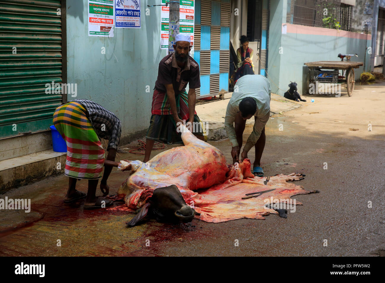 Animal Slaughter Stock Photos & Animal Slaughter Stock 