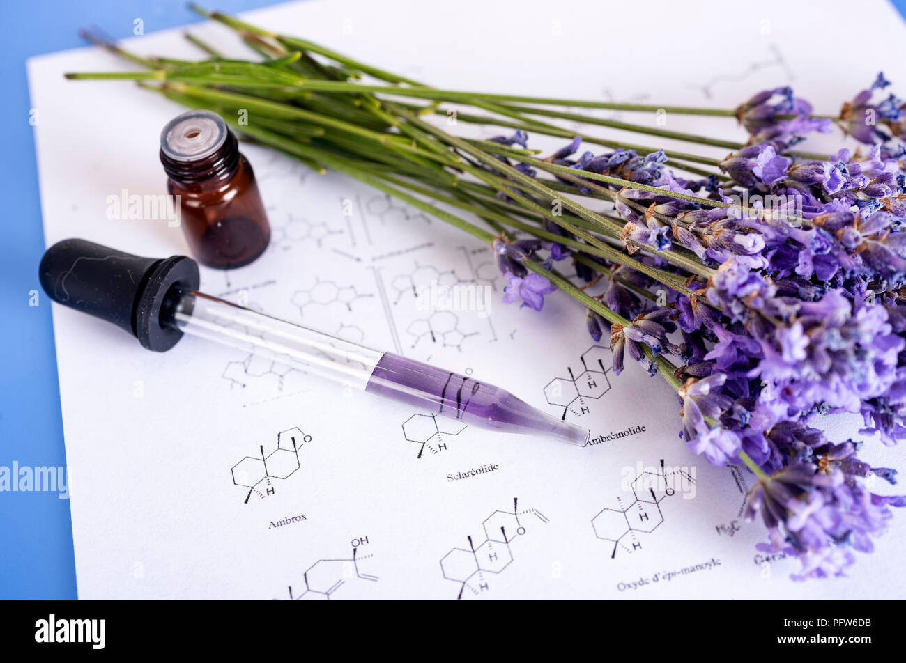 lavender and essential oils in front of white background Stock Photo ...