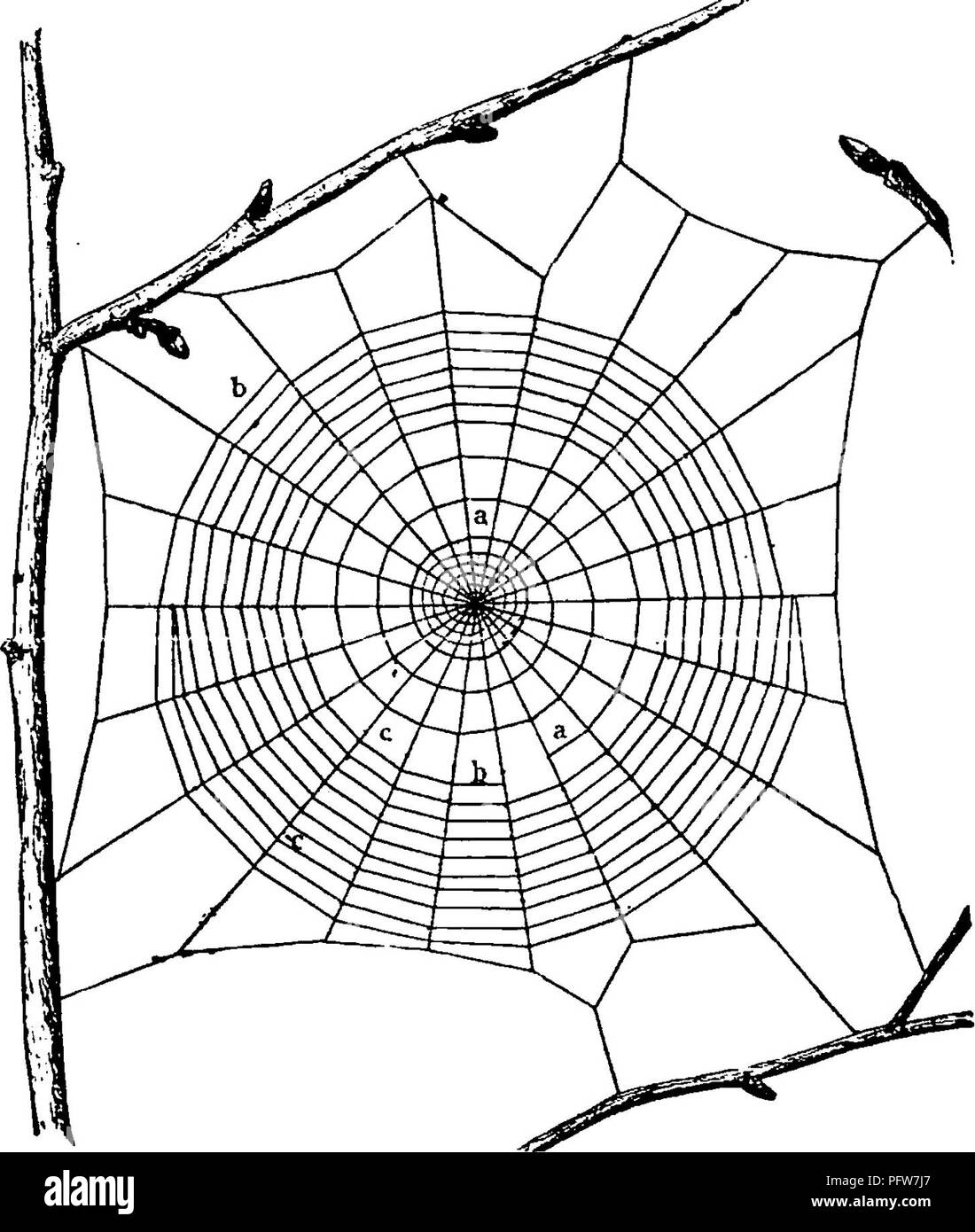 This manual provides comprehensive guidance for studying insects, with ...