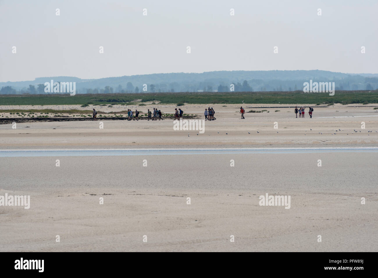 A group of people crossing the Somme estuary on foot at low tide Stock  Photo - Alamy