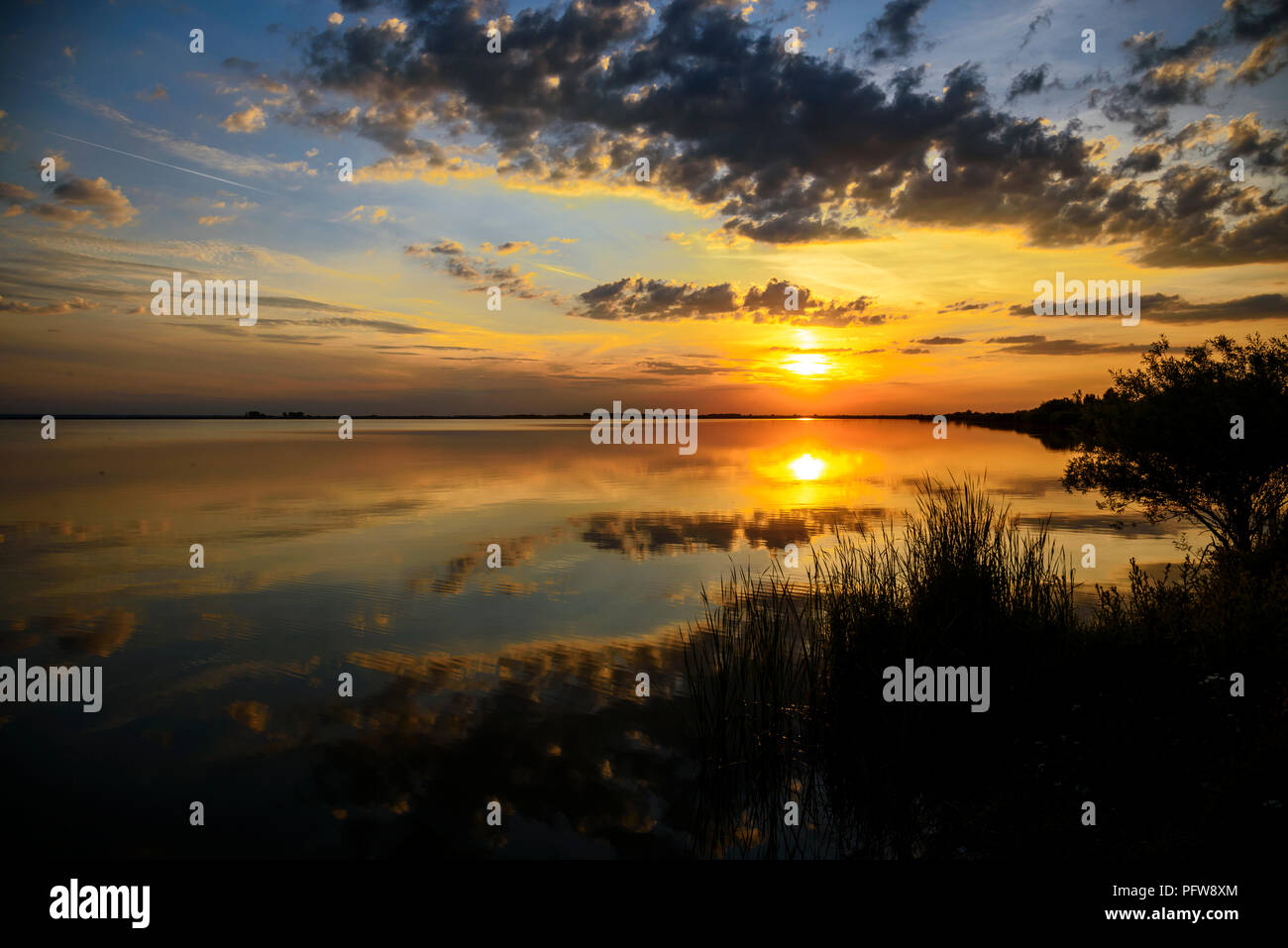 Beautiful summer sunset at the lake. Stock Photo
