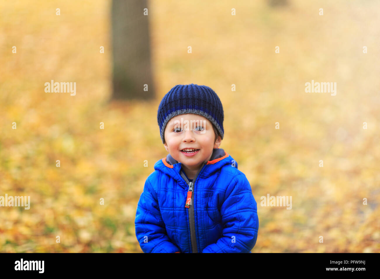 Happy boy dressed in warm clothes with hat and coat in blue colors, on the background of yellow fall landscape. Best conceptual picture for autumn sea Stock Photo