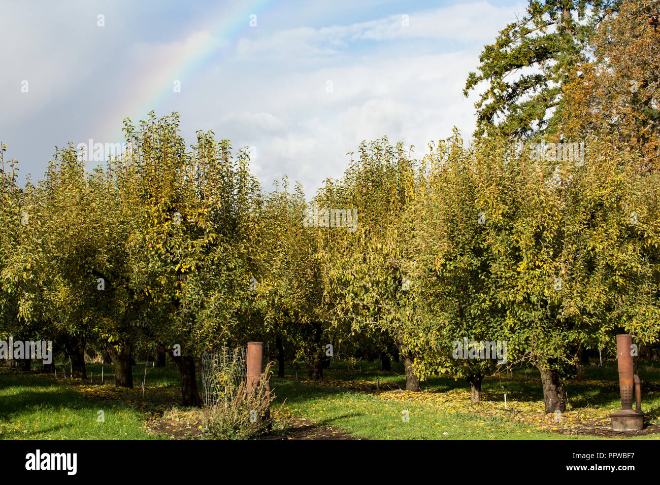 Smudge Pot Stock Photos & Smudge Pot Stock Images Alamy