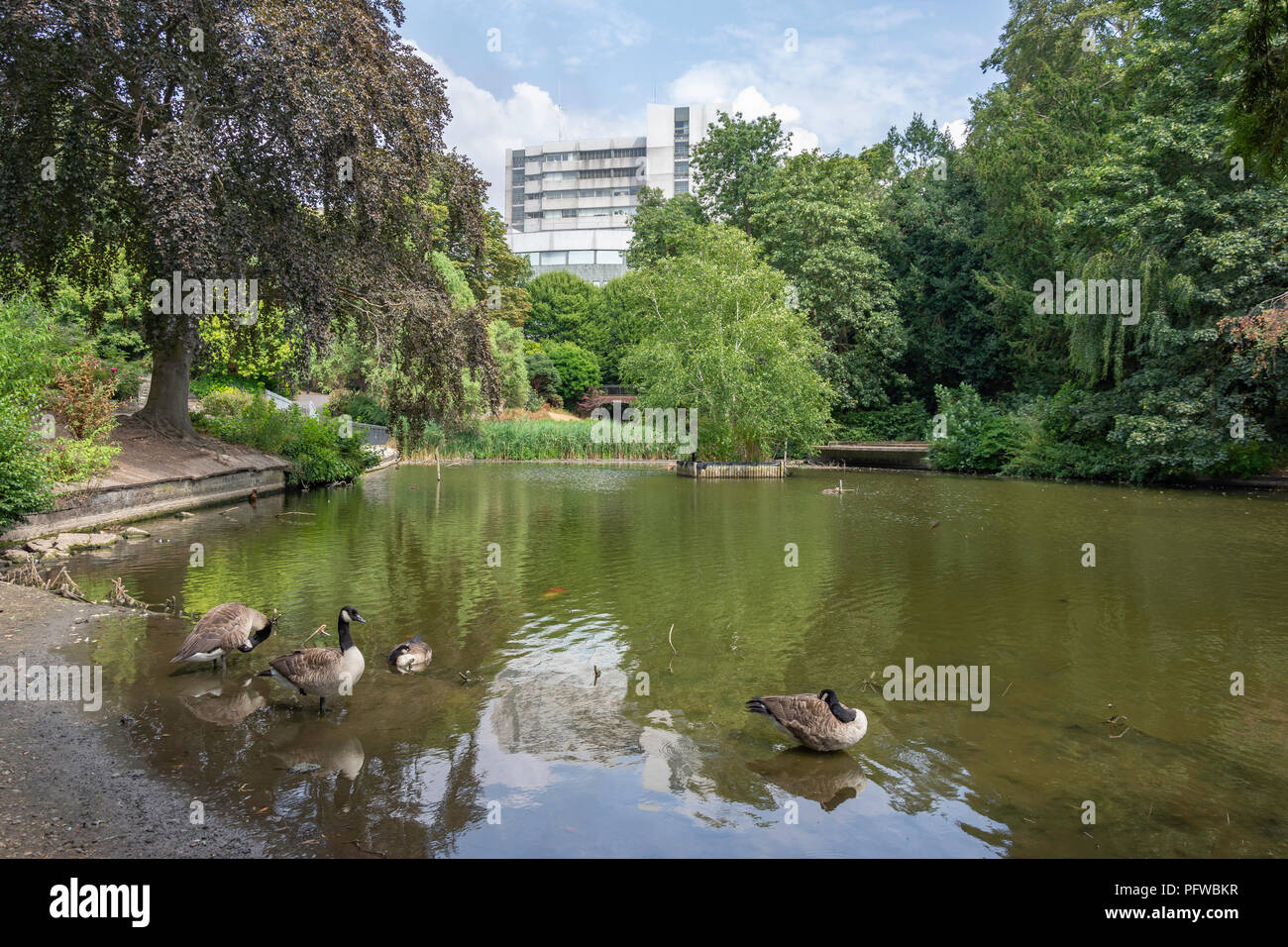 View of lake, Church House Gardens, Bromley, The London Borough of Bromley, Greater London, England, United Kingdom Stock Photo