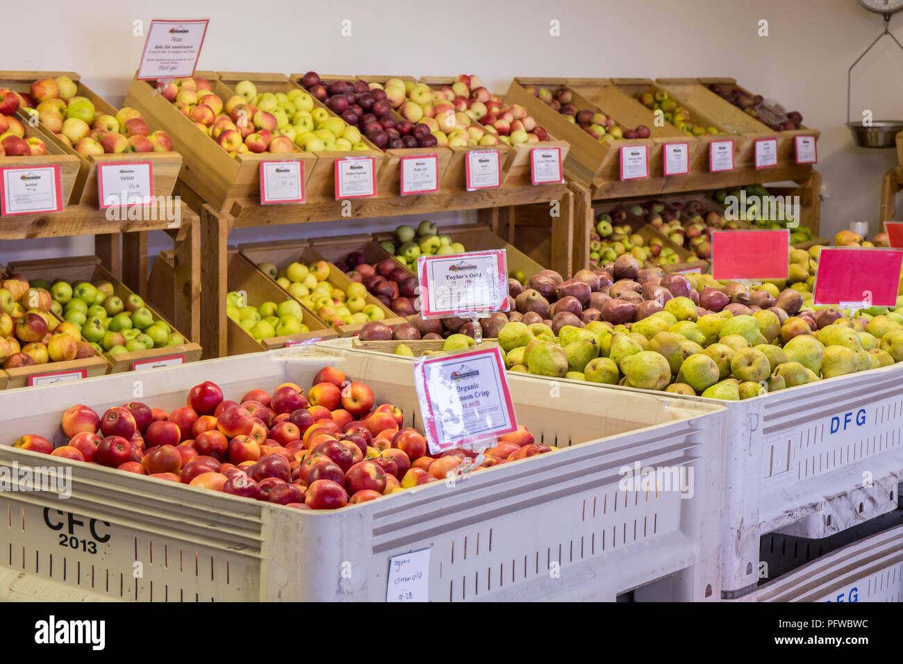 Fruit nobody variety hires stock photography and images Alamy