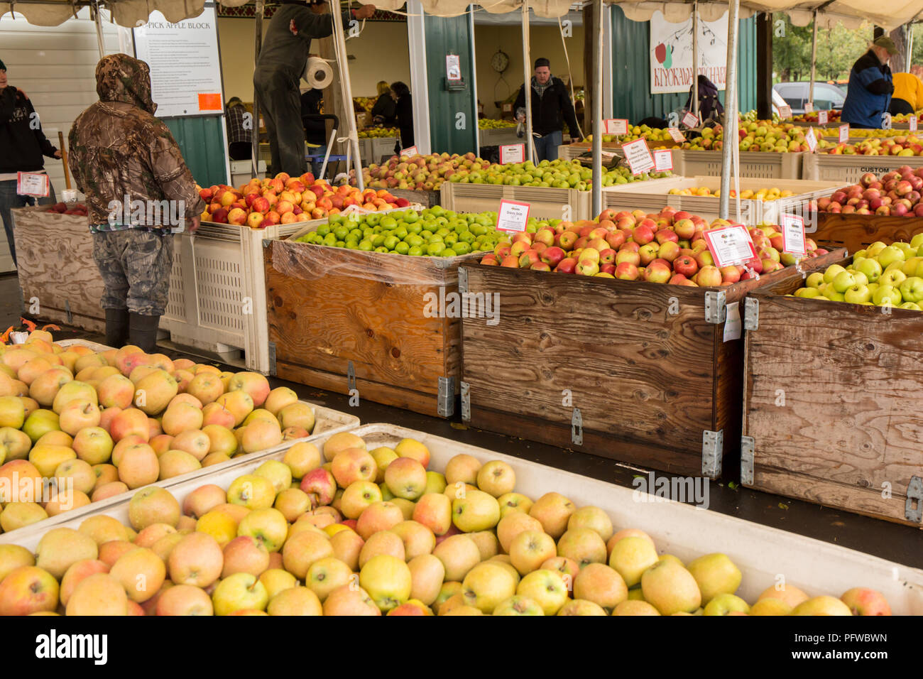 Hood River, Oregon, USA. Apples in large bins for sale at a fruit stand