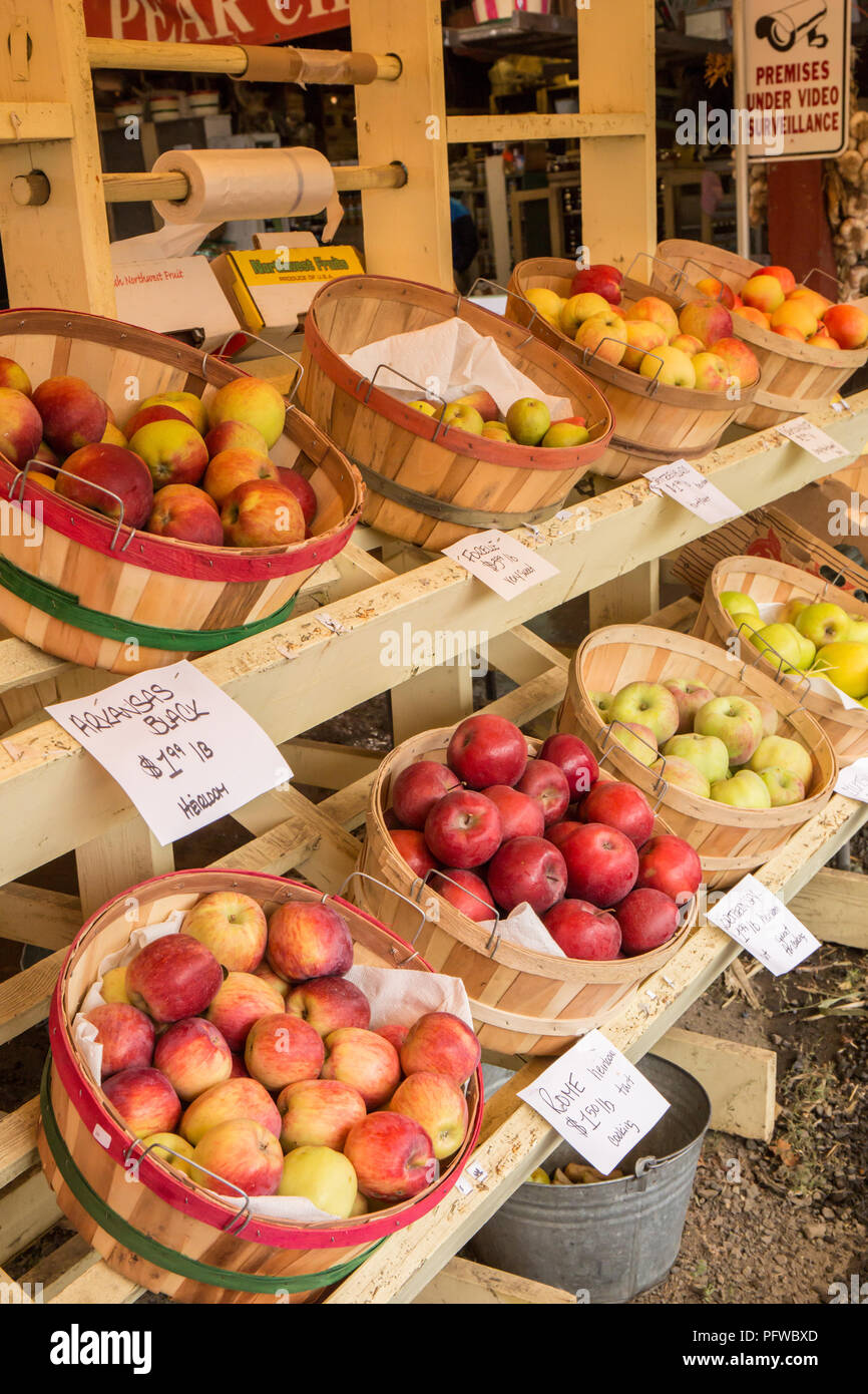 Hood River, Oregon, USA.  Arkansas Black heirloom apples, Rome apples, Northern Spy apples, Forelle pears and others for sale at a fruit stand. Stock Photo