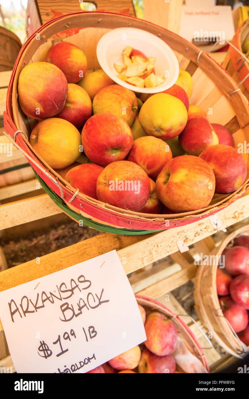 Hood River, Oregon, USA.  Arkansas Black apples for tasting and sale at a fruit stand. Stock Photo