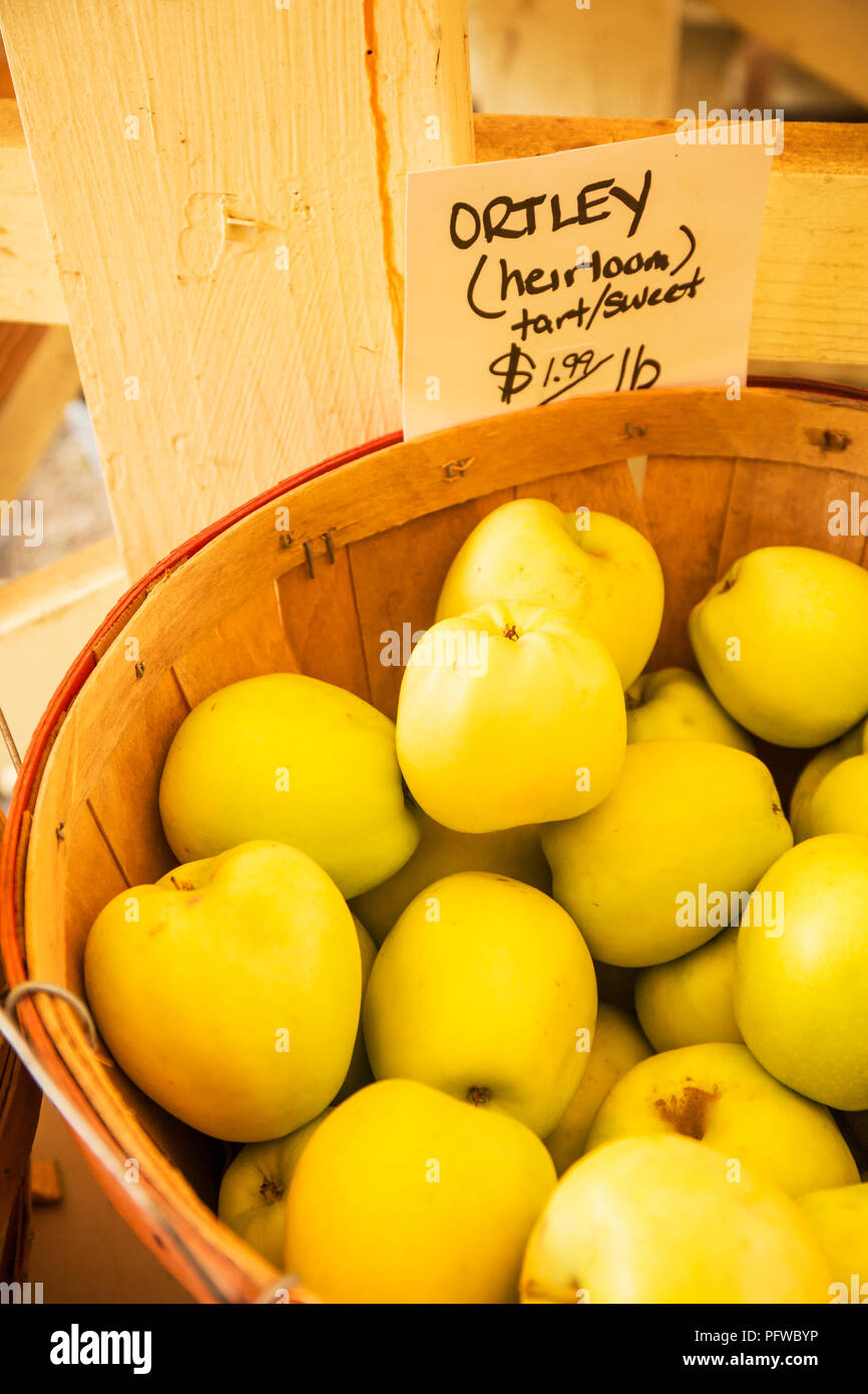 Ortley apple hires stock photography and images Alamy