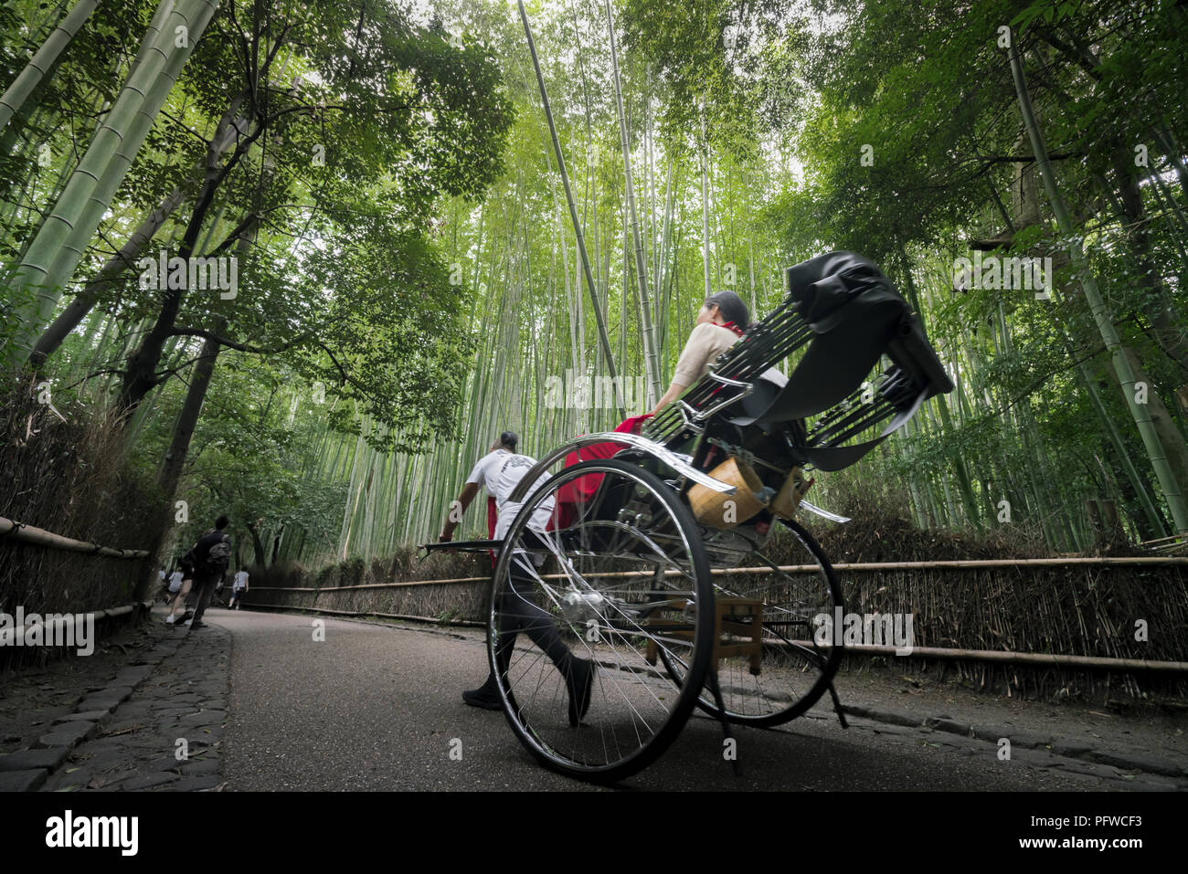 Pulled rickshaw at the bamboo forest in Arashiyama Stock Photo